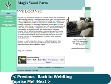 Tablet Screenshot of magijay.home.mindspring.com